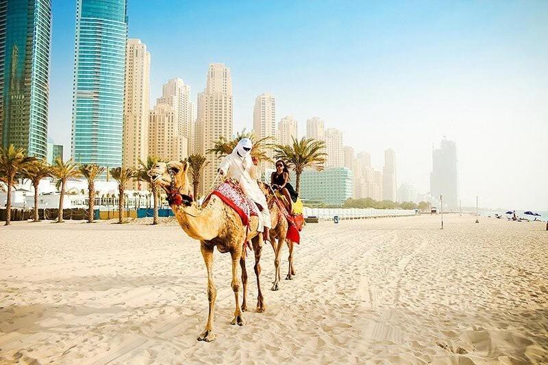 Apartment Elegant In Marina Near And Metro Z1113 Dubai